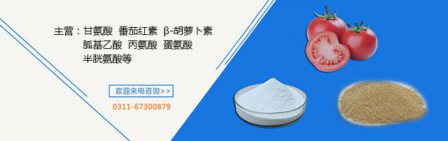 raybet雷竞技官网入口进入